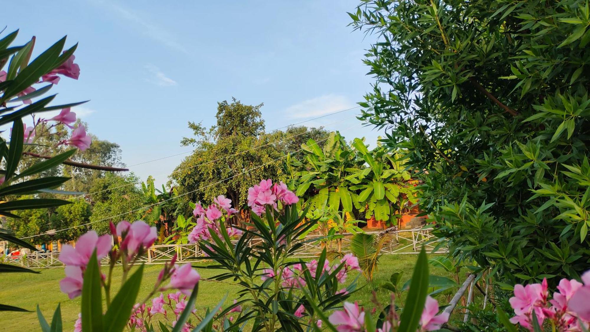 Waterfall Guesthouse Hampi Exterior foto